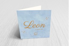 Blauw met bronzen leeuw Blauw met bronzen leeuw